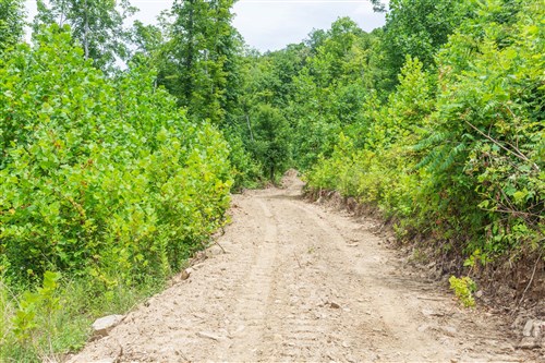 Rivers Edge Tract 14