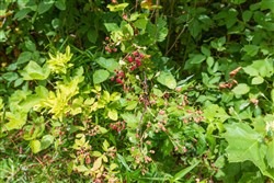 Rivers Edge Tract 14