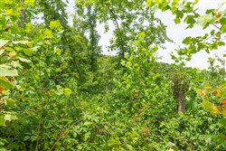 Rivers Edge Tract 14