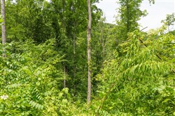 Rivers Edge Tract 14