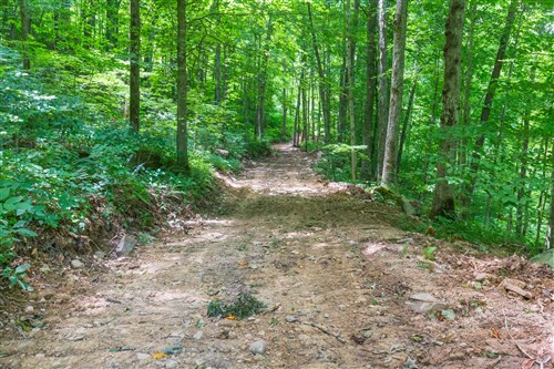 Rivers Edge Tract 15