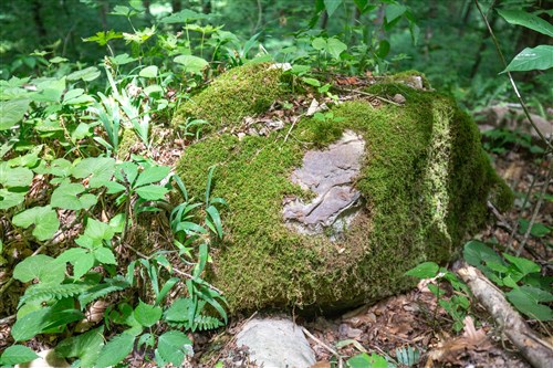 Rivers Edge Tract 15