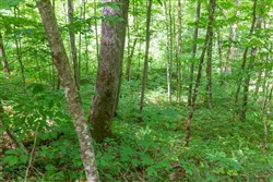 Rivers Edge Tract 15