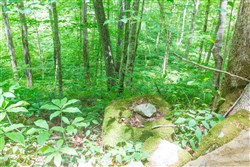 Rivers Edge Tract 15