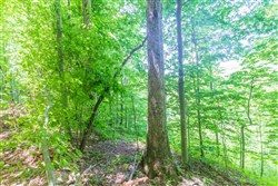 Rivers Edge Tract 16