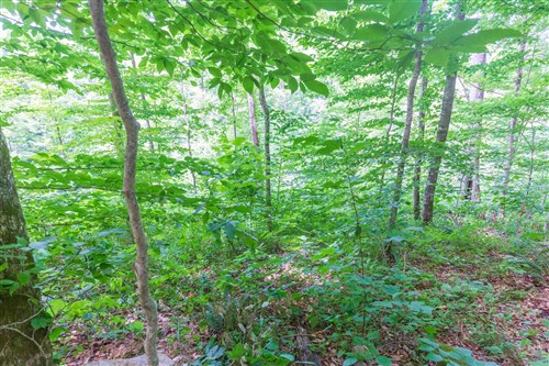 Rivers Edge Tract 16