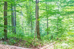 Rivers Edge Tract 16