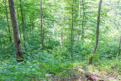 Rivers Edge Tract 16