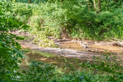 Rivers Edge Tract 18