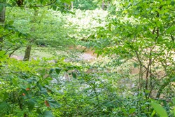 Rivers Edge Tract 18