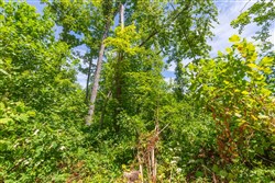 Rivers Edge Tract 18