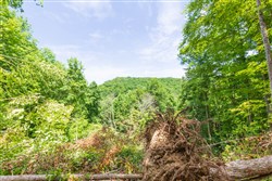 Rivers Edge Tract 18