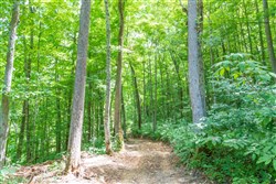 Rivers Edge Tract 19