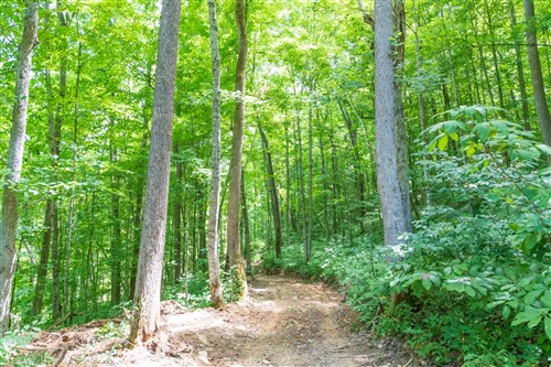 Rivers Edge Tract 19