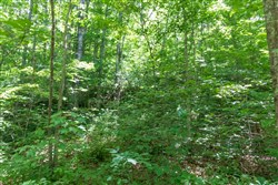 Rivers Edge Tract 19