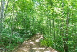 Rivers Edge Tract 19