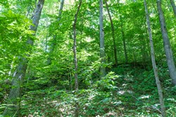 Rivers Edge Tract 19
