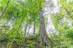 Rivers Edge Tract 27