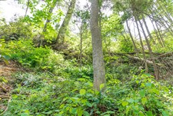 Rivers Edge Tract 27