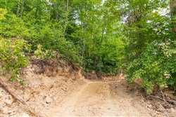 Rivers Edge Tract 31