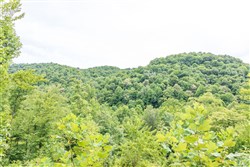 Rivers Edge Tract 31