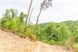 Rivers Edge Tract 31