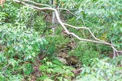 Rivers Edge Tract 31