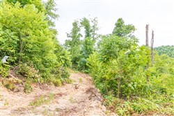 Rivers Edge Tract 31