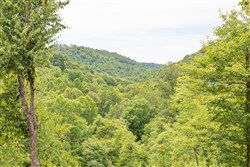 Rivers Edge Tract 31