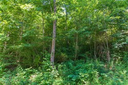 Rivers Edge Tract 35