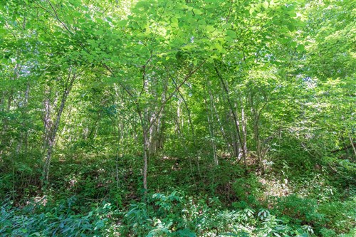 Rivers Edge Tract 35