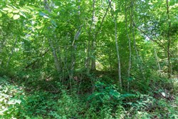 Rivers Edge Tract 35