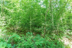 Rivers Edge Tract 35