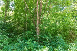 Rivers Edge Tract 39