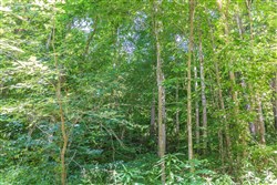 Rivers Edge Tract 39