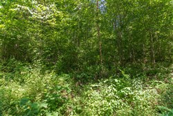 Rivers Edge Tract 39