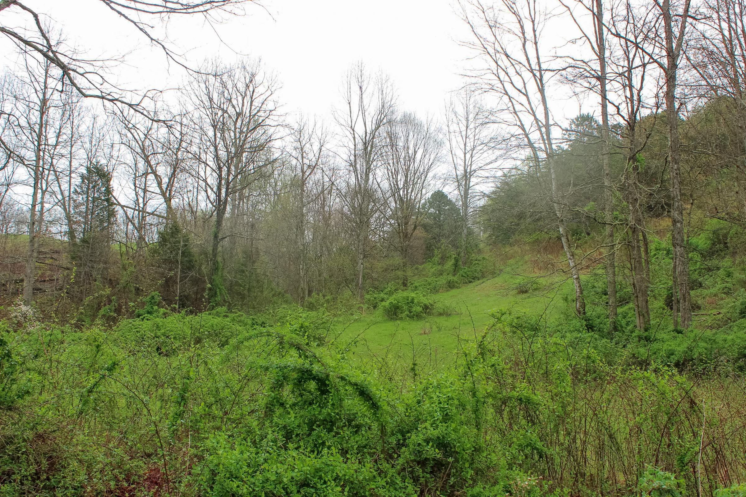 Tract 11 at Serenity Creek in Laurel County, Kentucky