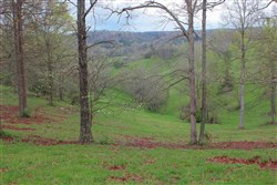Serenity Creek Tract 13