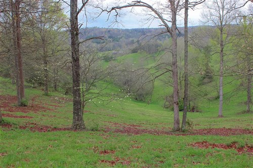 Serenity Creek Tract 13