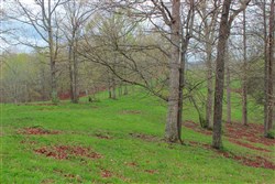 Serenity Creek Tract 13