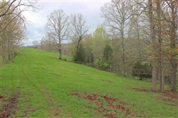 Serenity Creek Tract 13