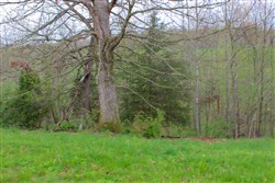 Serenity Creek Tract 13