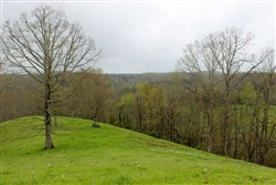 Serenity Creek Tract 13