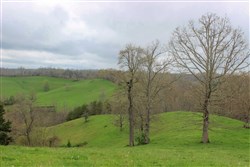 Serenity Creek Tract 13
