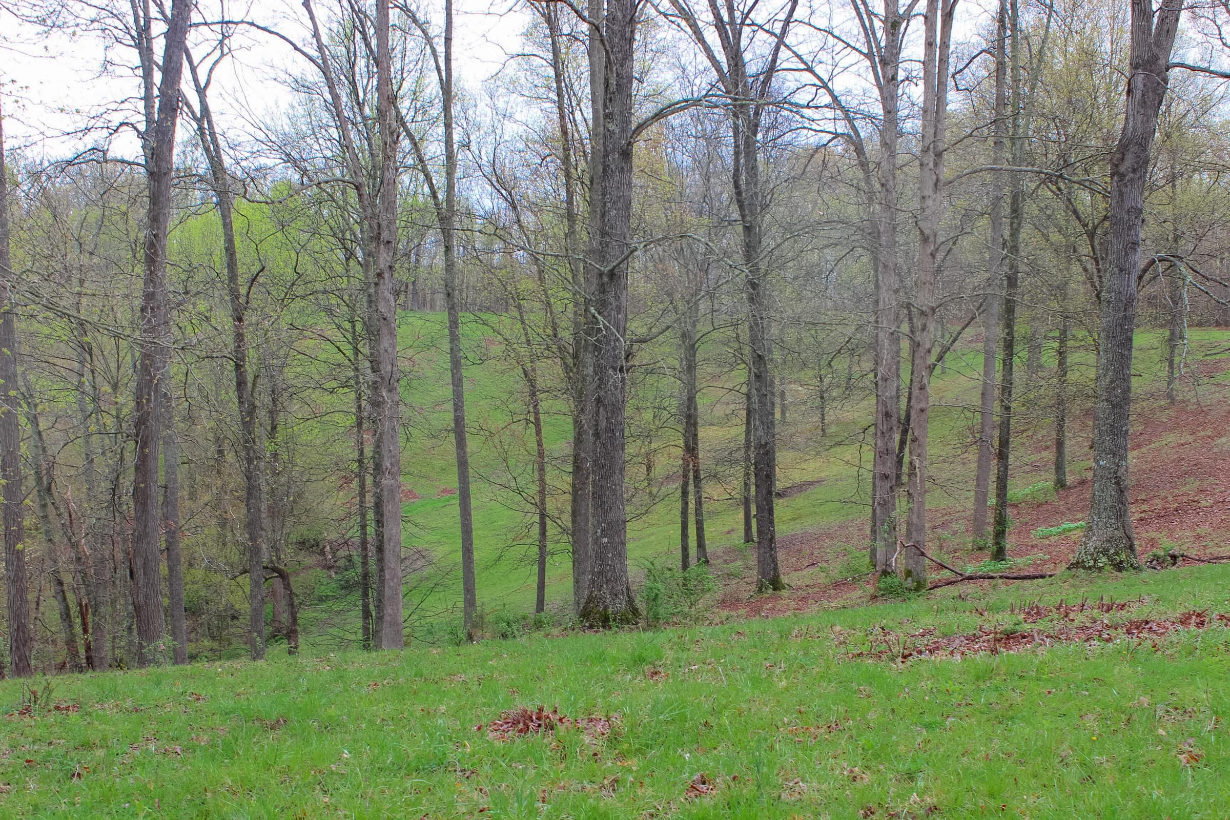 Tract 14 at Serenity Creek in Laurel County, Kentucky