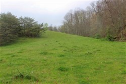 Serenity Creek Tract 15