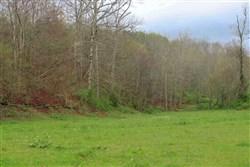 Serenity Creek Tract 15