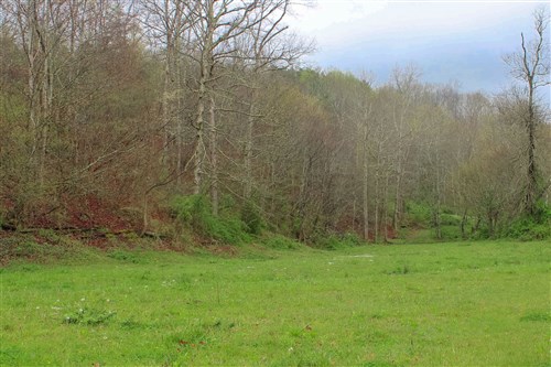 Serenity Creek Tract 15