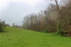 Serenity Creek Tract 15