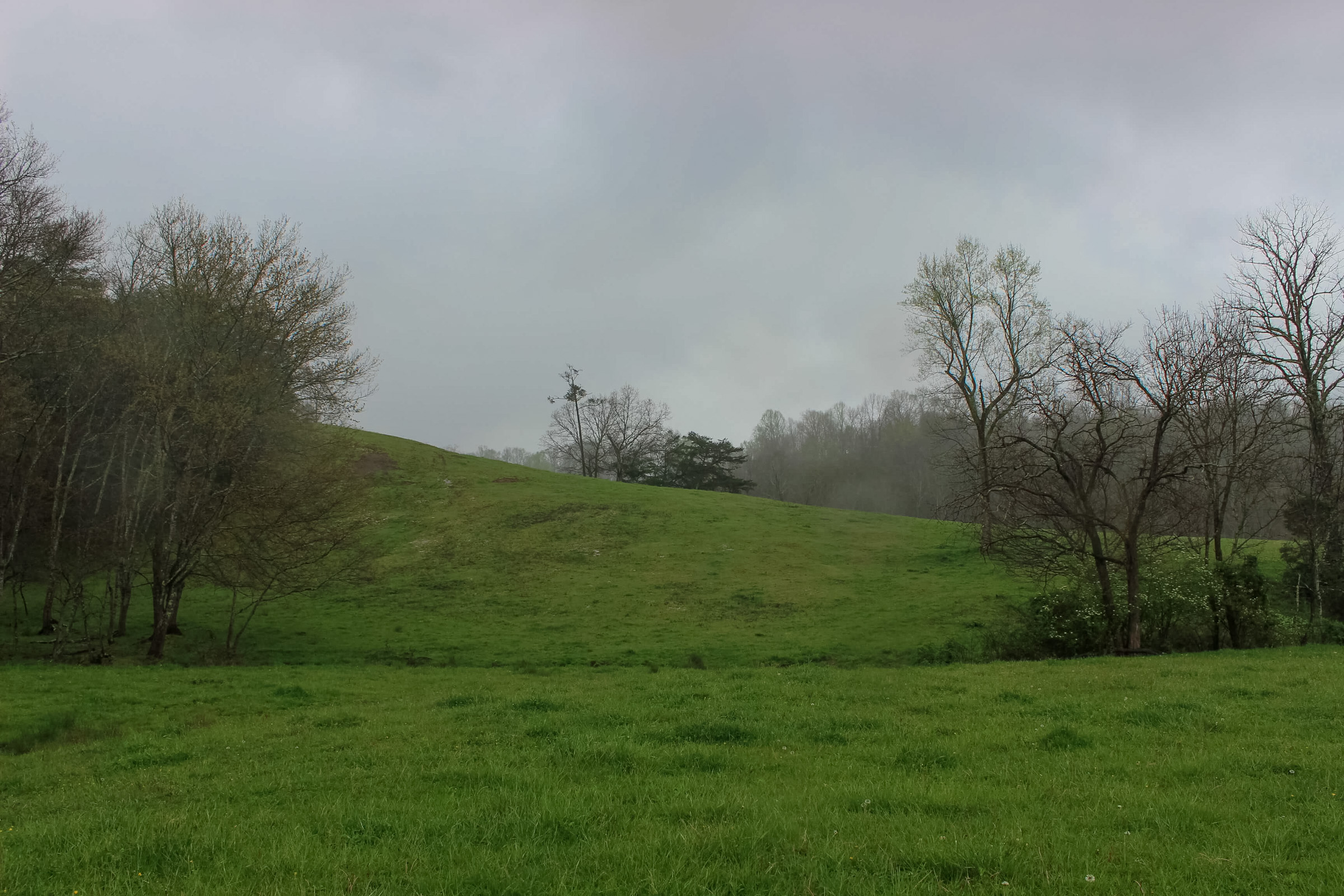 Tract 16 at Serenity Creek in Laurel County, Kentucky